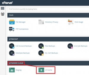 אחסון אתר וורדפרס - הפעלת LS Cache דרך ממשק אחסון האתר
